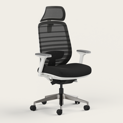 Ergo Pro 2.0 - Recess