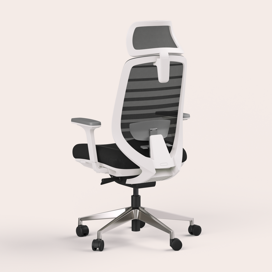 Ergo Pro 2.0