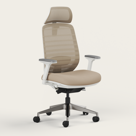 Ergo Pro 2.0 - Recess