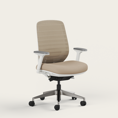 Ergo Pro 2.0 - Recess