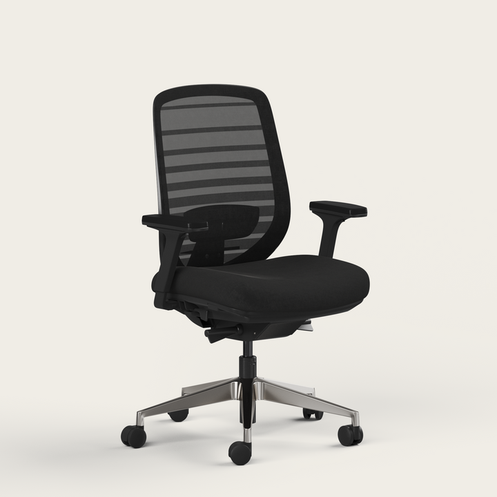 Ergo Pro 2.0