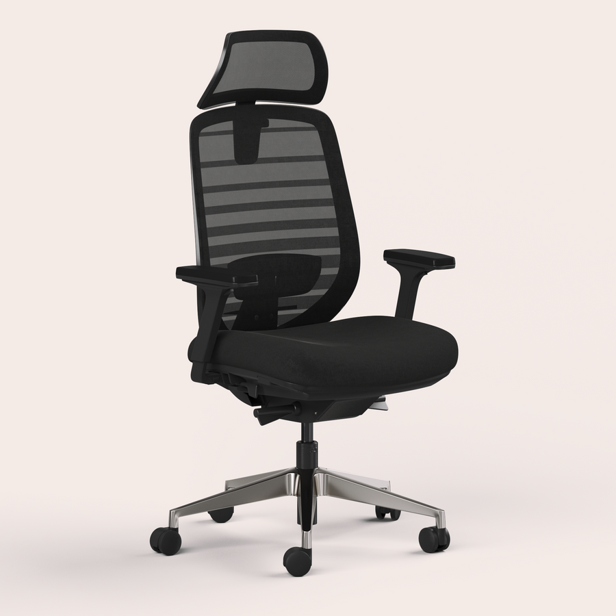 Ergo Pro 2.0