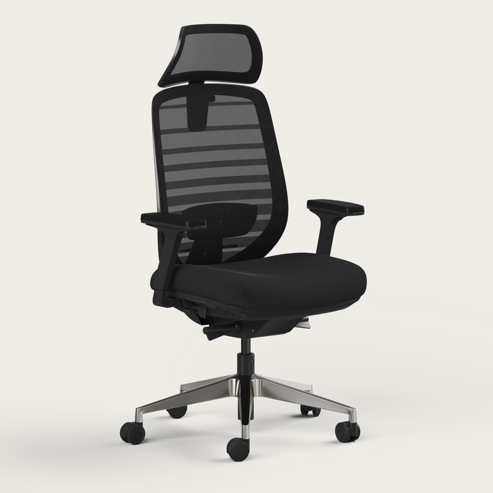 Ergo Pro 2.0