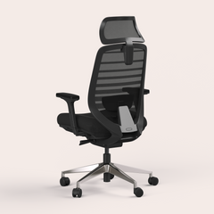Ergo Pro 2.0