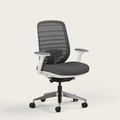 Ergo Pro 2.0 - Recess
