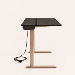 The Elite Standing Desk