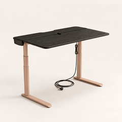 The Elite Standing Desk