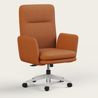 Recess - Earth Ergo Lounge ergonomic office chair with silent casters