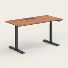 Standing Desk
