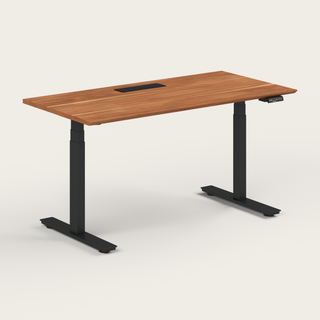 Standing Desk - Recess