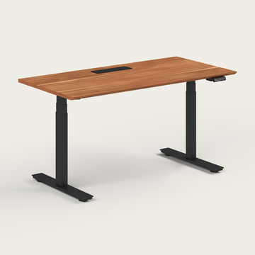 Standing Desk - Recess