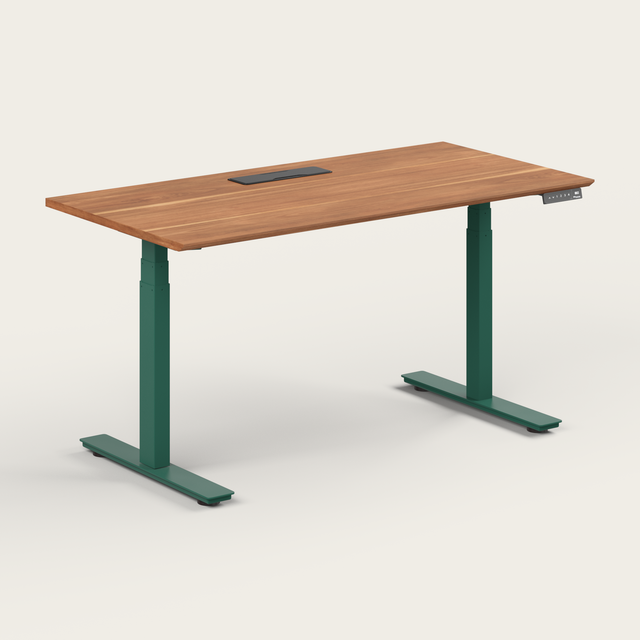 <a href="https://cdn.shopify.com/s/files/1/0537/5957/4212/files/Recess_Assembly_Manual_Standing_Desk.pdf?v=1789364264" target="_blank" title="https://cdn.shopify.com/s/files/1/0537/5957/4212/files/Recess_Assembly_Manual_Standing_Desk.pdf?v=1789364264">Standing Desk</a>