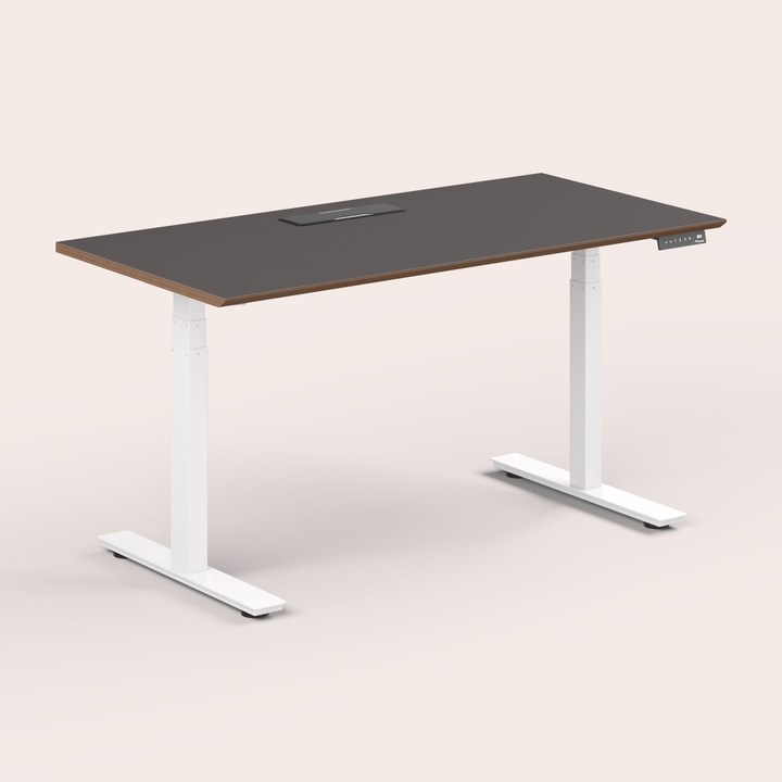 Standing Desk