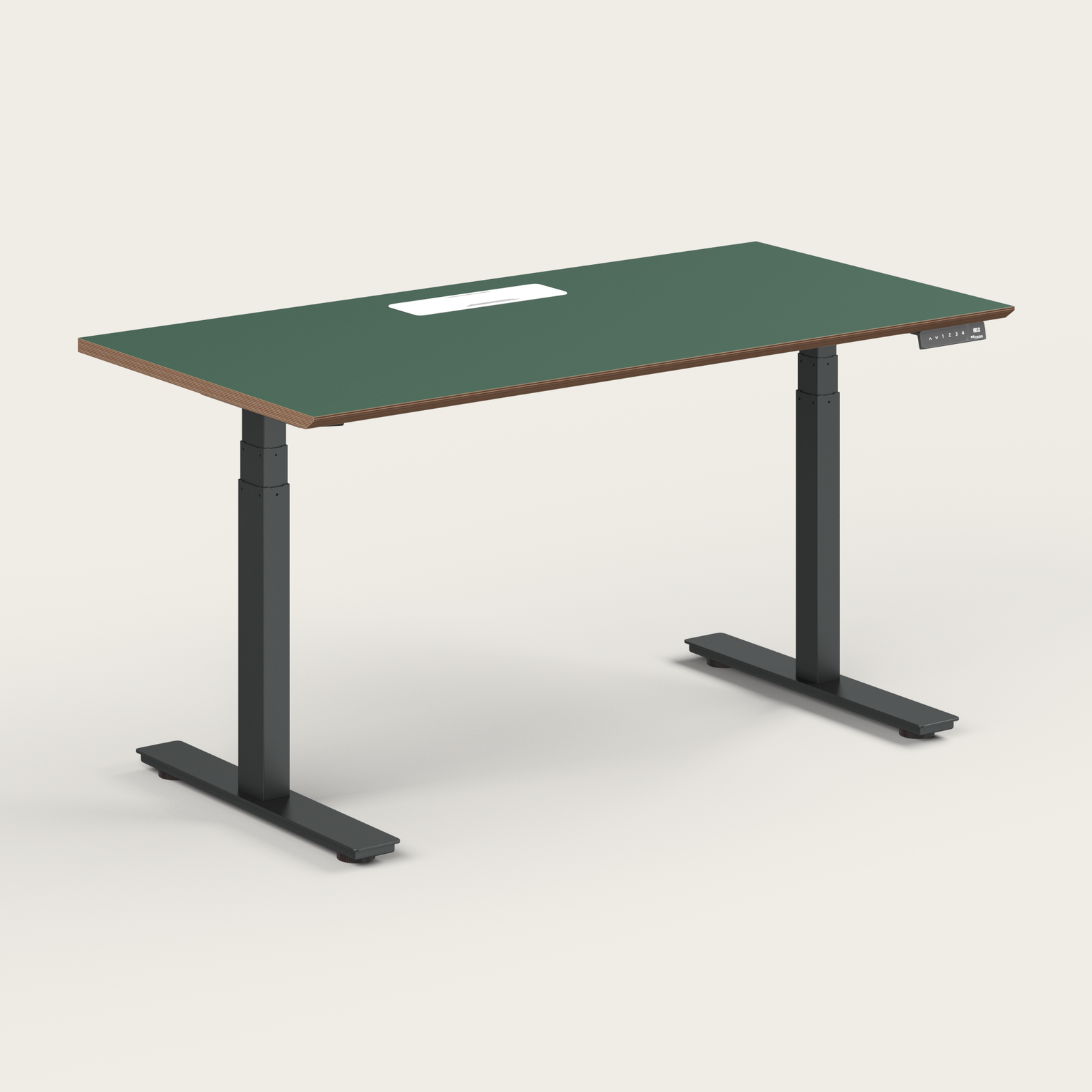 Standing Desk