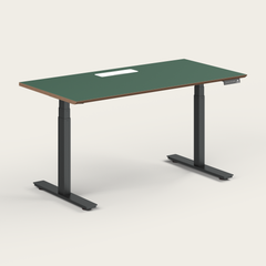 Standing Desk