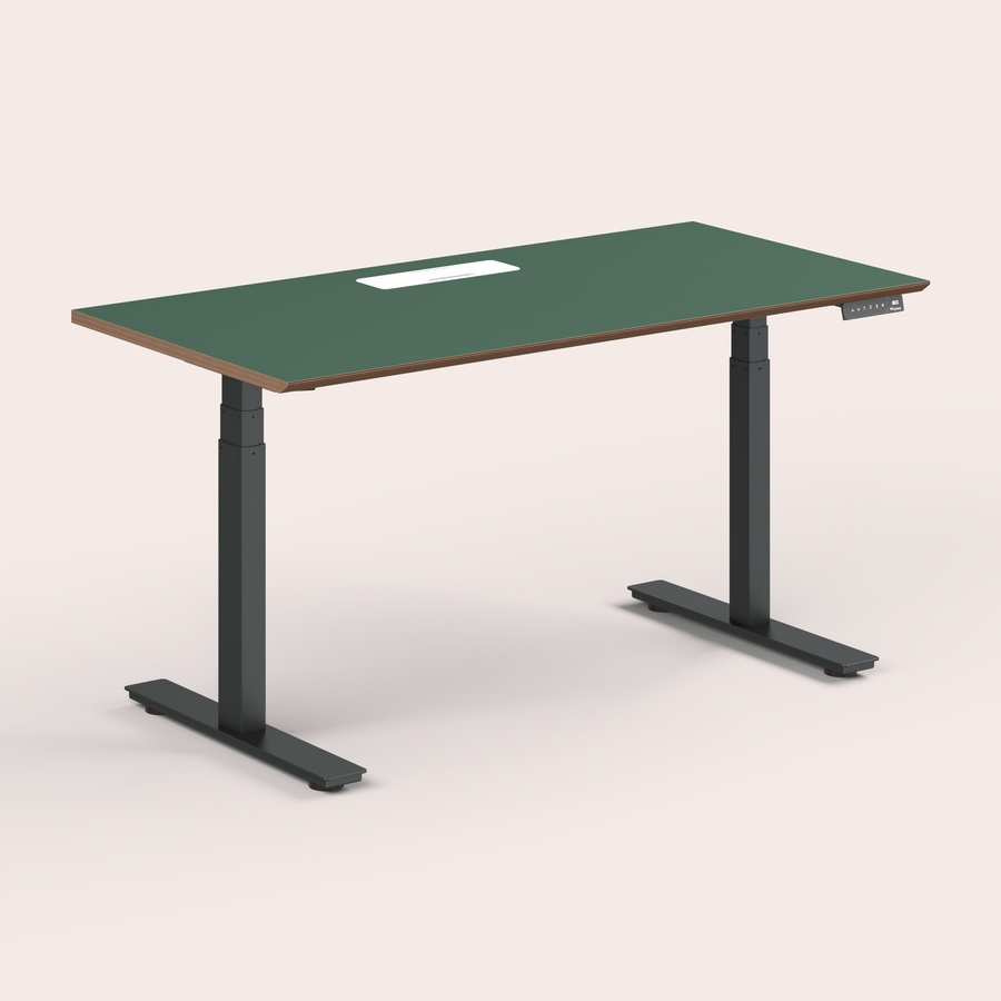 Standing Desk