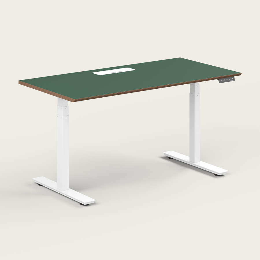Standing Desk