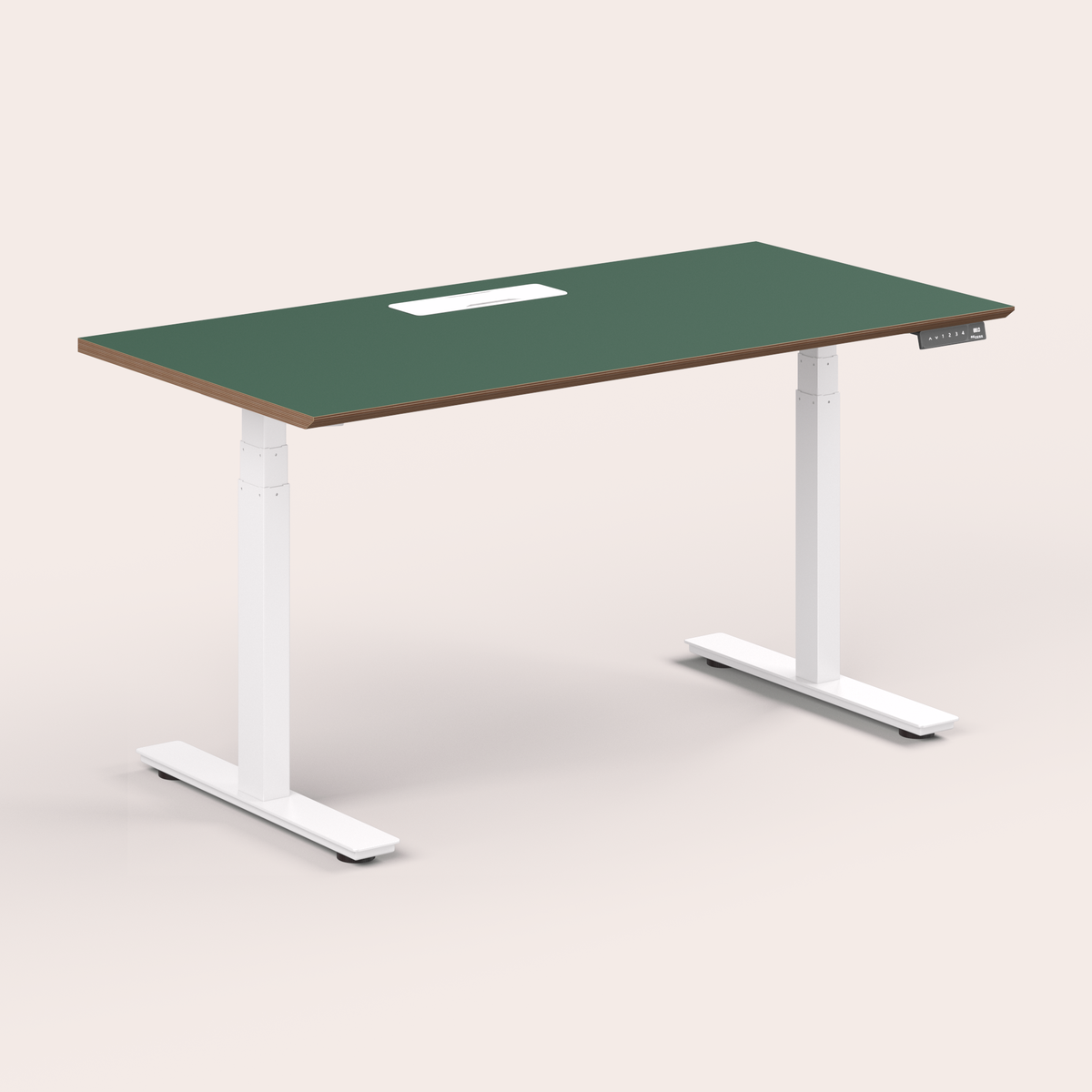 Standing Desk