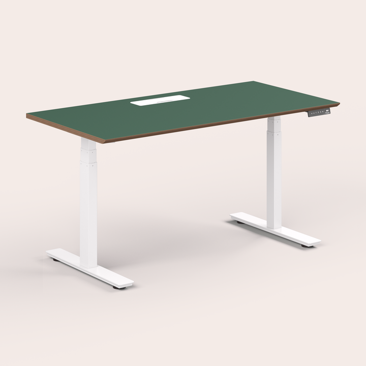 Standing Desk