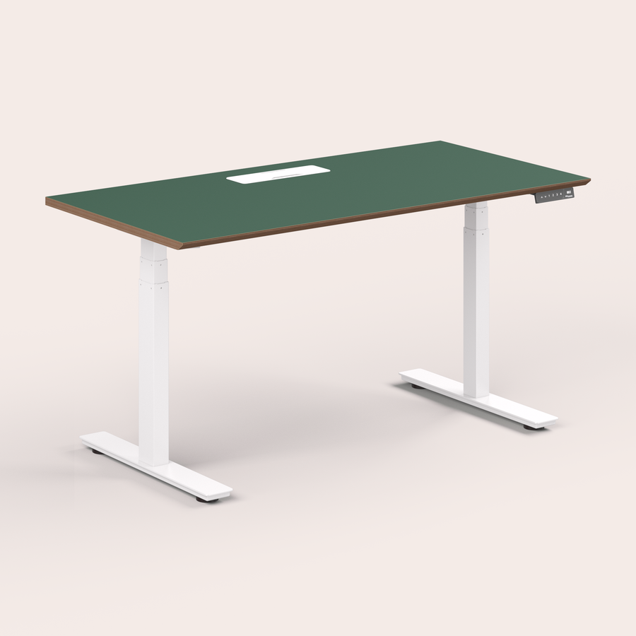 Standing Desk