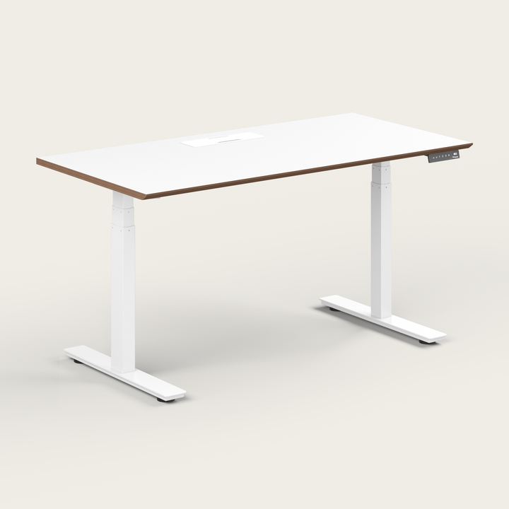 Standing Desk