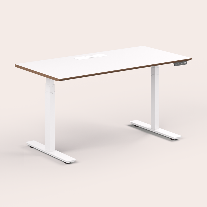Standing Desk