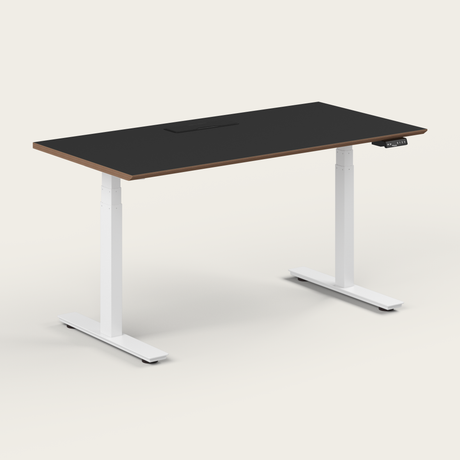Standing Desk - Recess