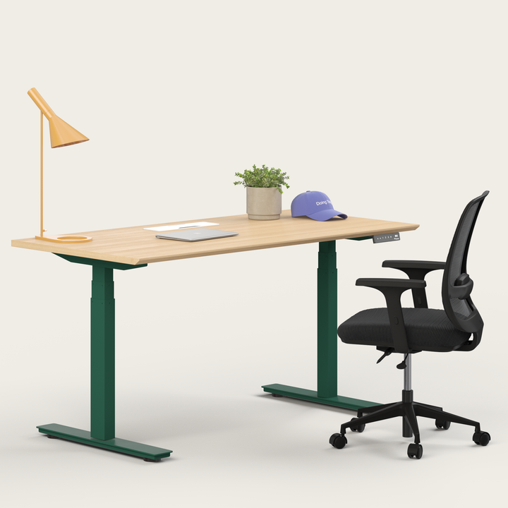 Ergo Bundle
