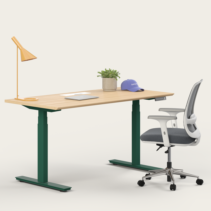 Ergo Bundle