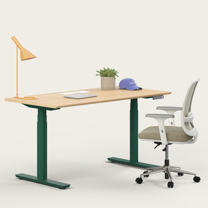 Ergo Bundle