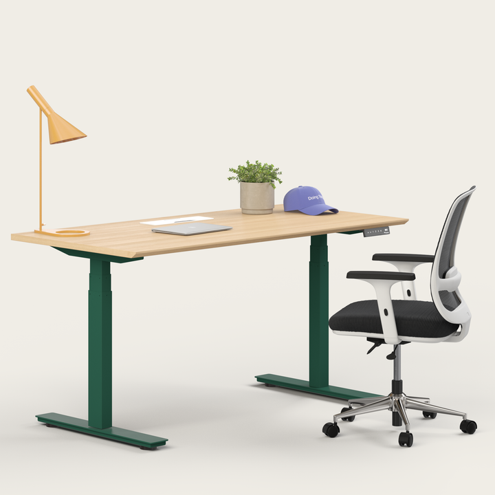 Ergo Bundle