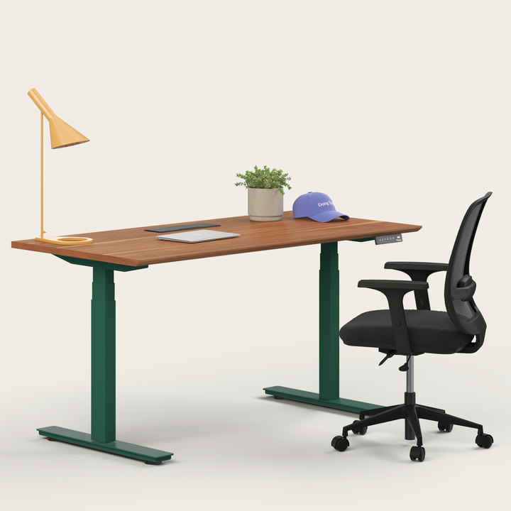 Ergo Bundle