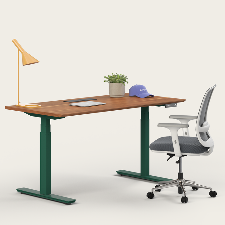 Ergo Bundle