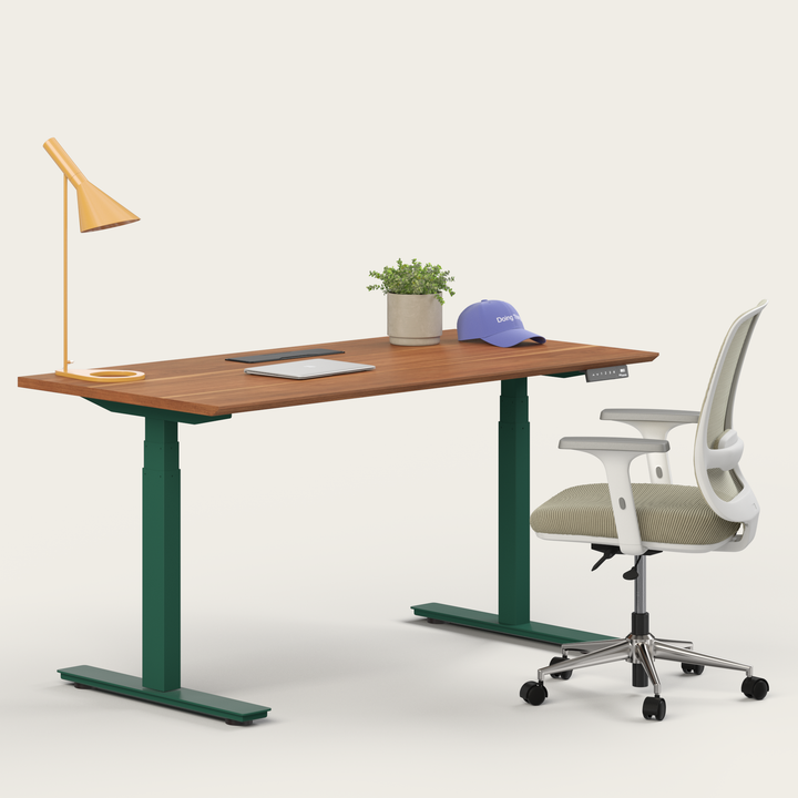 Ergo Bundle