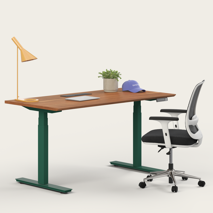 Ergo Bundle