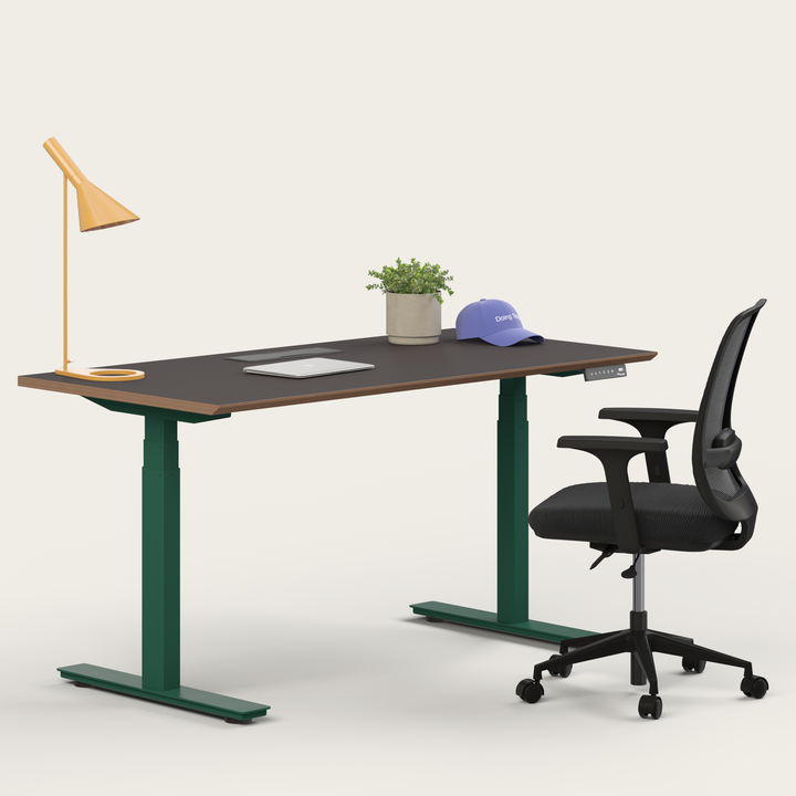 Ergo Bundle