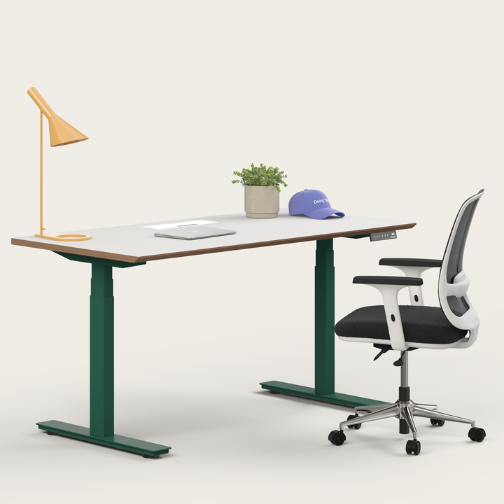 Ergo Bundle
