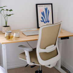 Ergo Chair