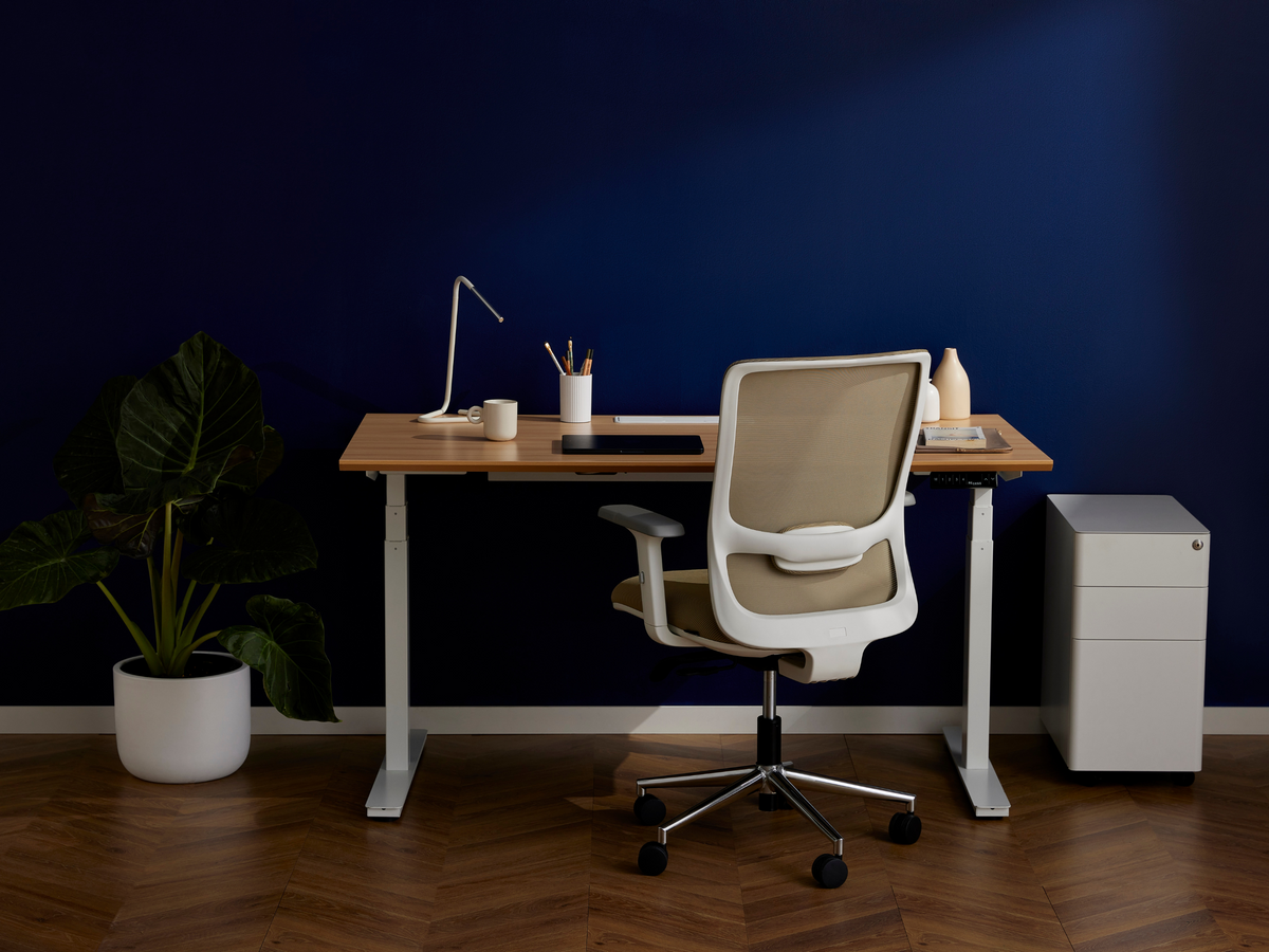 Modern workspace featuring the Ergo Bundle of Ergo Chair and Standing Desk.