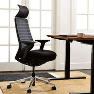 Ergo Pro 2.0 Office Chair
