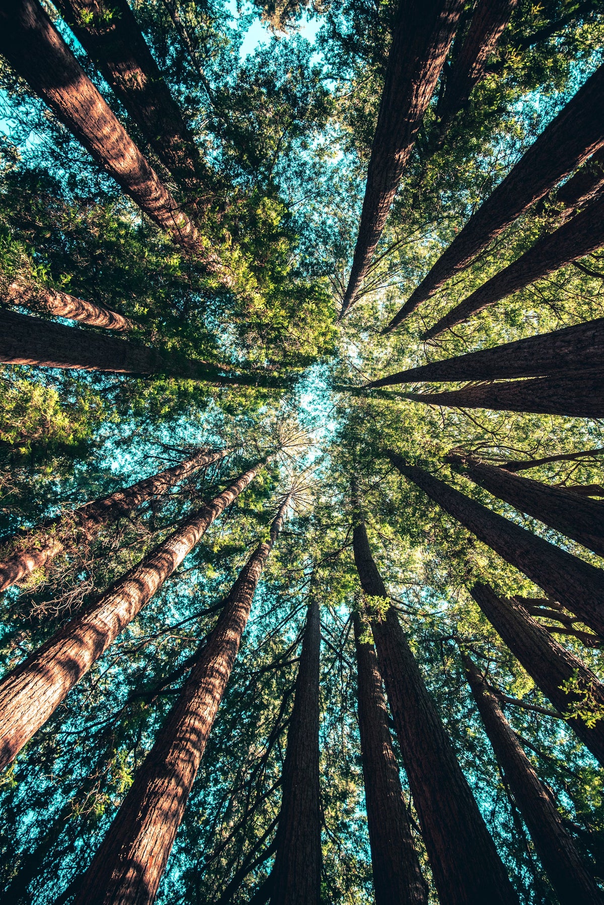 Building a Sustainable Future
