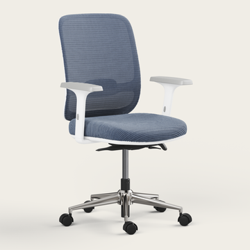 Ergo Chair